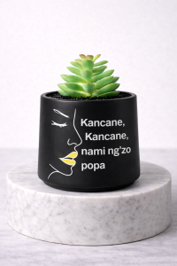 Mini matte black succulent jar on a marble pedestal with white line-art face design and motivational message.