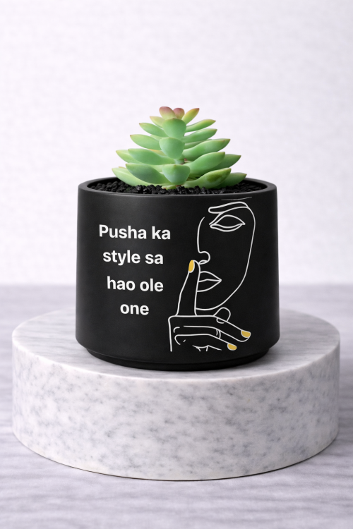 Pusha ka style sa hao ole one mini faux succulent jar in matte black on marble pedestal