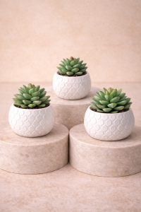 Mini faux succulent jar trio in white bubble pots on beige pedestals