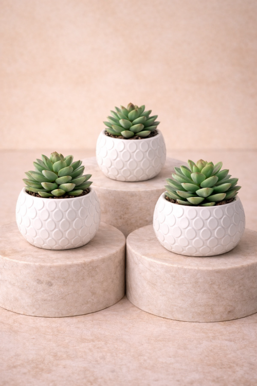 Mini faux succulent jar trio in white bubble pots on beige pedestals